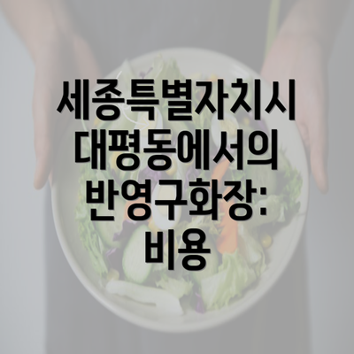 세종특별자치시 대평동에서의 반영구화장: 비용