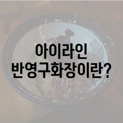 아이라인 반영구화장이란?