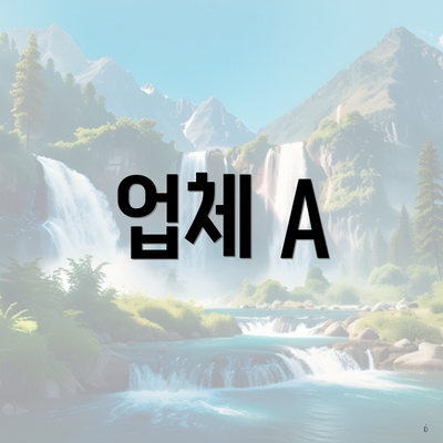 업체 A