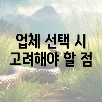 업체 선택 시 고려해야 할 점