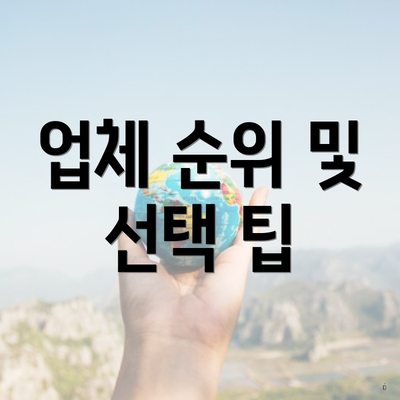 업체 순위 및 선택 팁