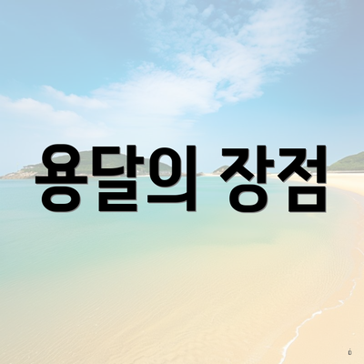 용달의 장점