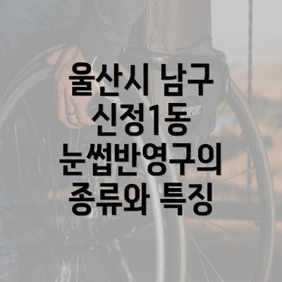 울산시 남구 신정1동 눈썹반영구의 종류와 특징