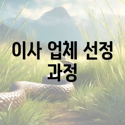 이사 업체 선정 과정