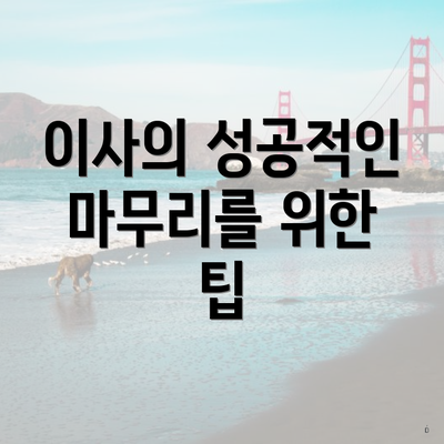 이사의 성공적인 마무리를 위한 팁