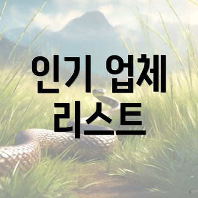 인기 업체 리스트