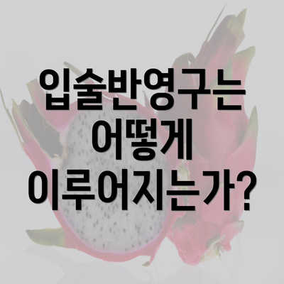 입술반영구는 어떻게 이루어지는가?