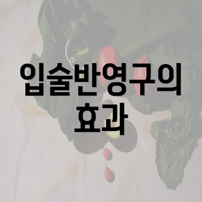 입술반영구의 효과