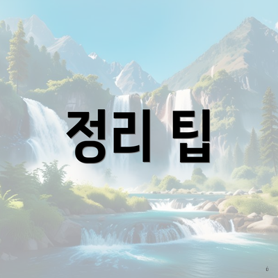 정리 팁