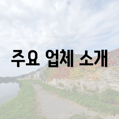 주요 업체 소개