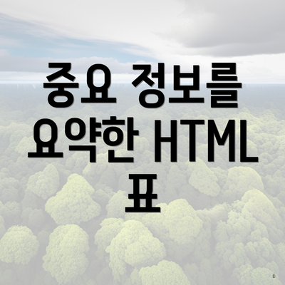 중요 정보를 요약한 HTML 표