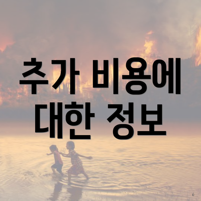 추가 비용에 대한 정보