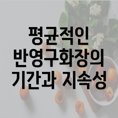 평균적인 반영구화장의 기간과 지속성