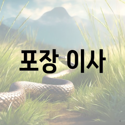 포장 이사