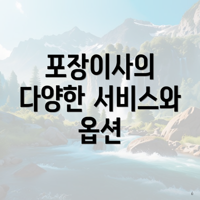 포장이사의 다양한 서비스와 옵션