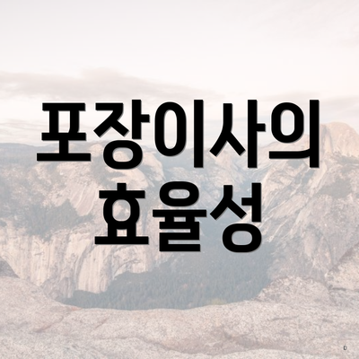 포장이사의 효율성