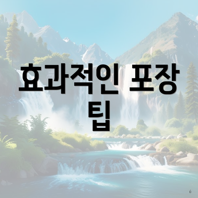 효과적인 포장 팁