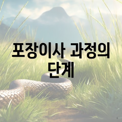 포장이사 과정의 단계